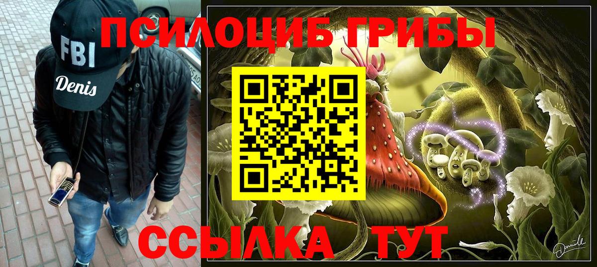 Псилоцибиновые грибы Psilocybine cubensis Сегежа
