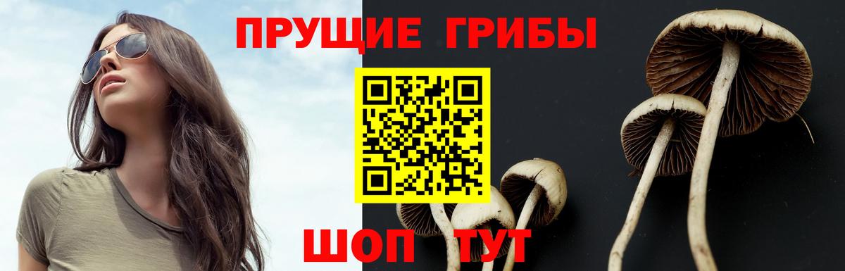Псилоцибиновые грибы Psilocybine cubensis  Вход с VPN  Сегежа 